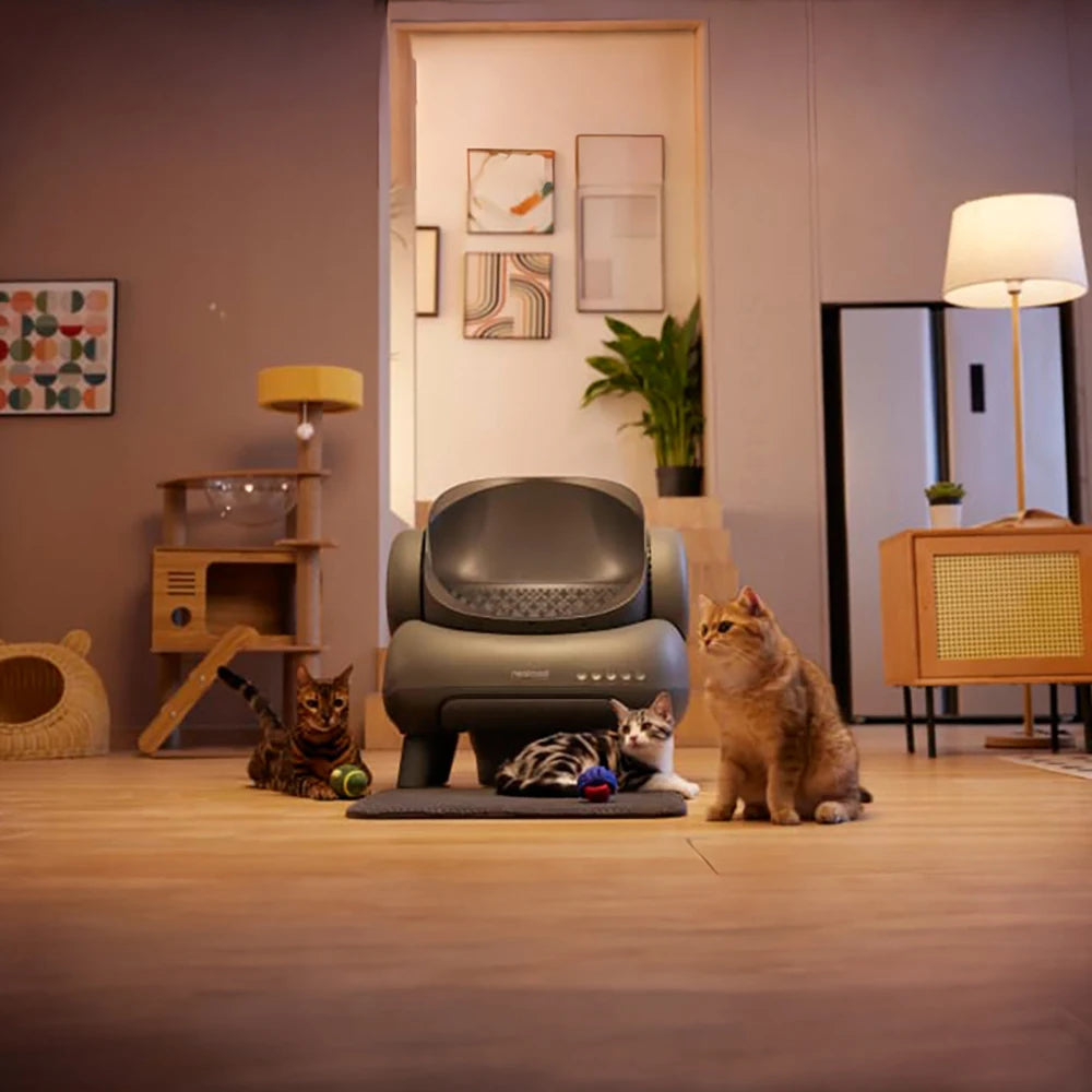 Automatic Self-Cleaning Litter Box
