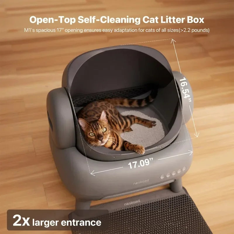 Automatic Self-Cleaning Litter Box